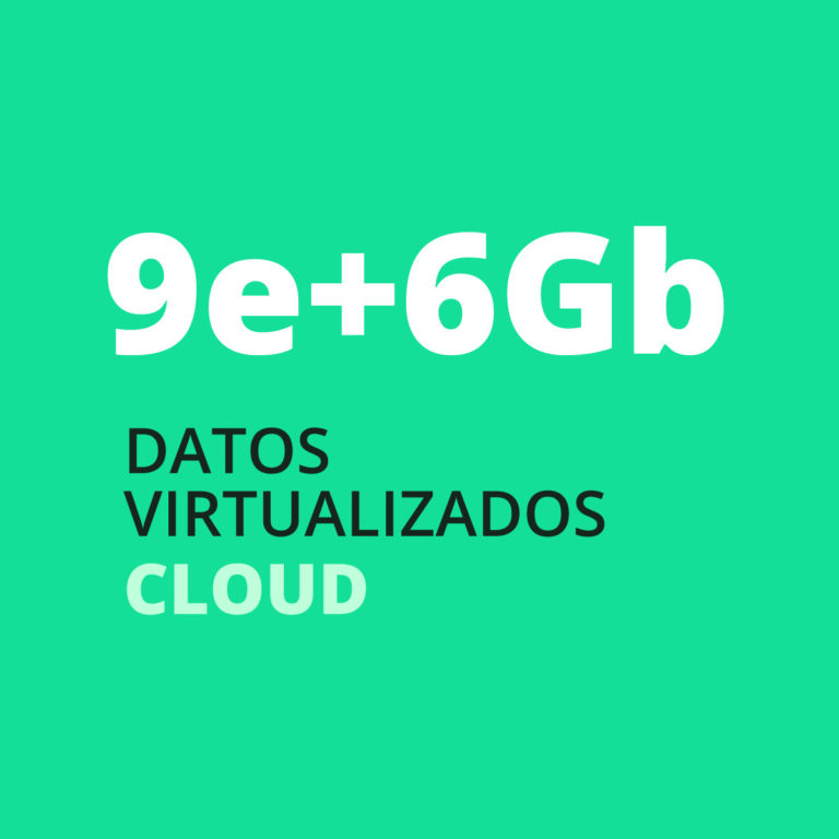 success_case-9e6gb_virtual@cloud